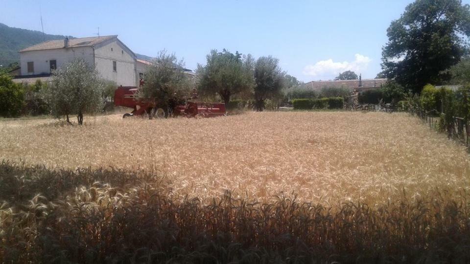 Villa Agriturismo Tre Santi Padula Exterior foto